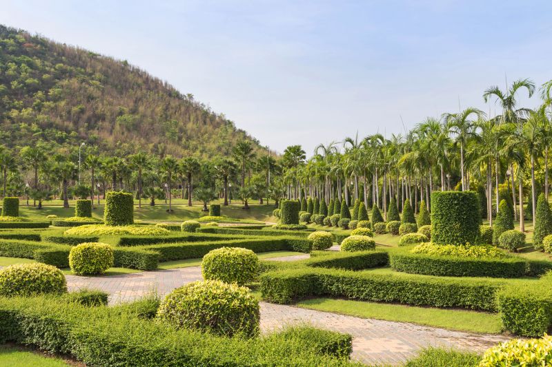 Trimmed Shrubs with Symmetrical Shapes