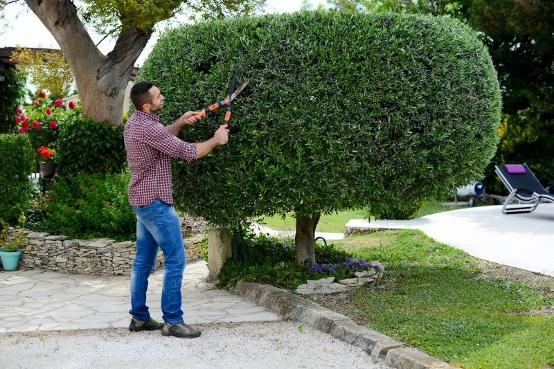 Landscaper Using Pruning Shears