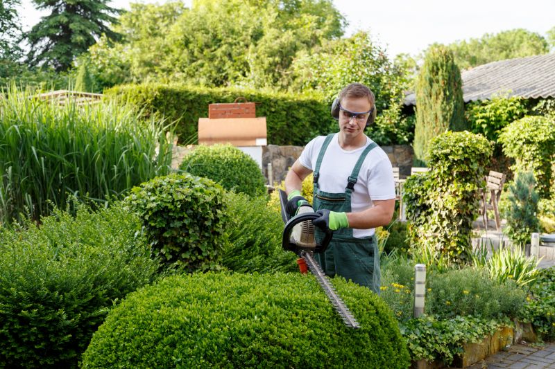 Experienced Landscaping Professionals