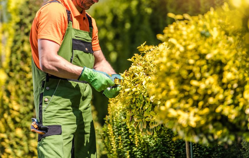 Summer Shrub Care