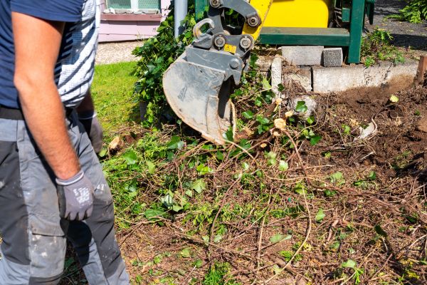 Hedge Removal Service in Bozeman