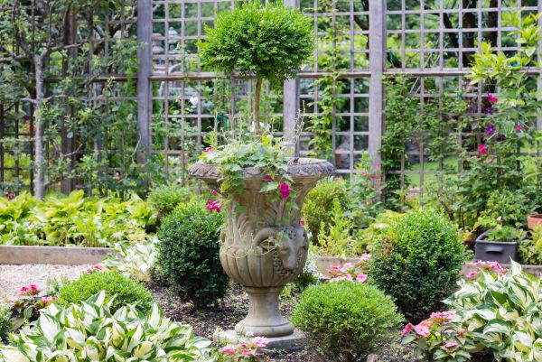 Topiary Pruning in Bozeman