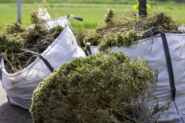 Shrubs Removal in Bozeman